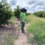 WhatsApp Image 2025-11-25 at 20.32.04