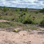 WhatsApp Image 2025-11-25 at 20.32.10