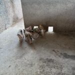 WhatsApp Image 2025-11-25 at 20.32.07