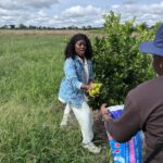 WhatsApp Image 2025-11-25 at 20.32.08