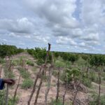 WhatsApp Image 2025-11-25 at 20.32.11